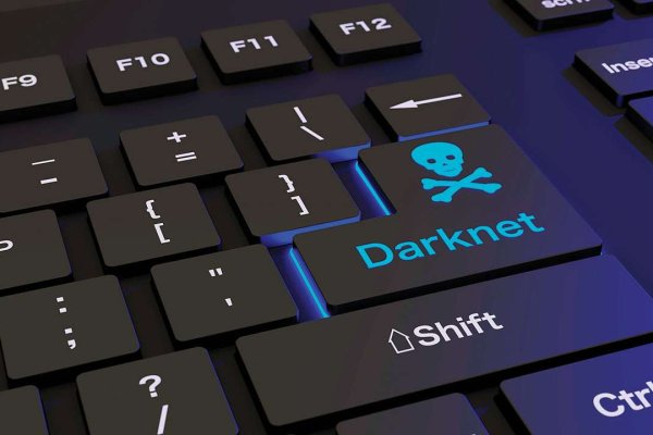 Kraken dark net