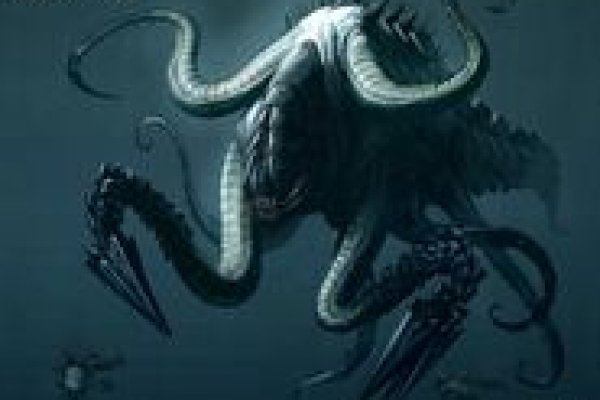 Kraken kraken link24 info