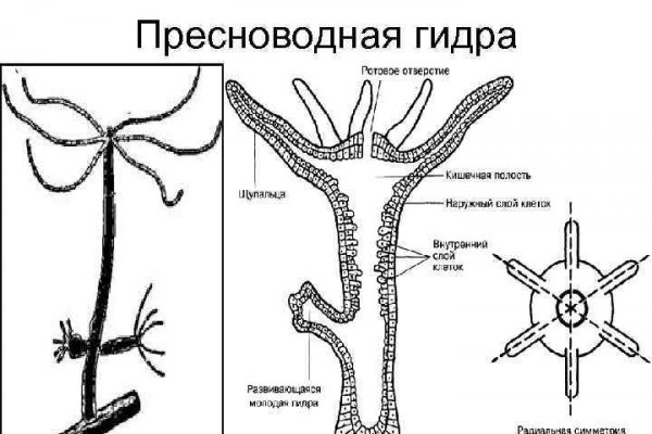 Оригинальный сайт кракен