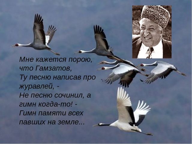 Кракен ссылка тупа германия